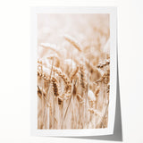 Farmhouse Wall Art - Wheat Harvest Design for Rustic Country Decor