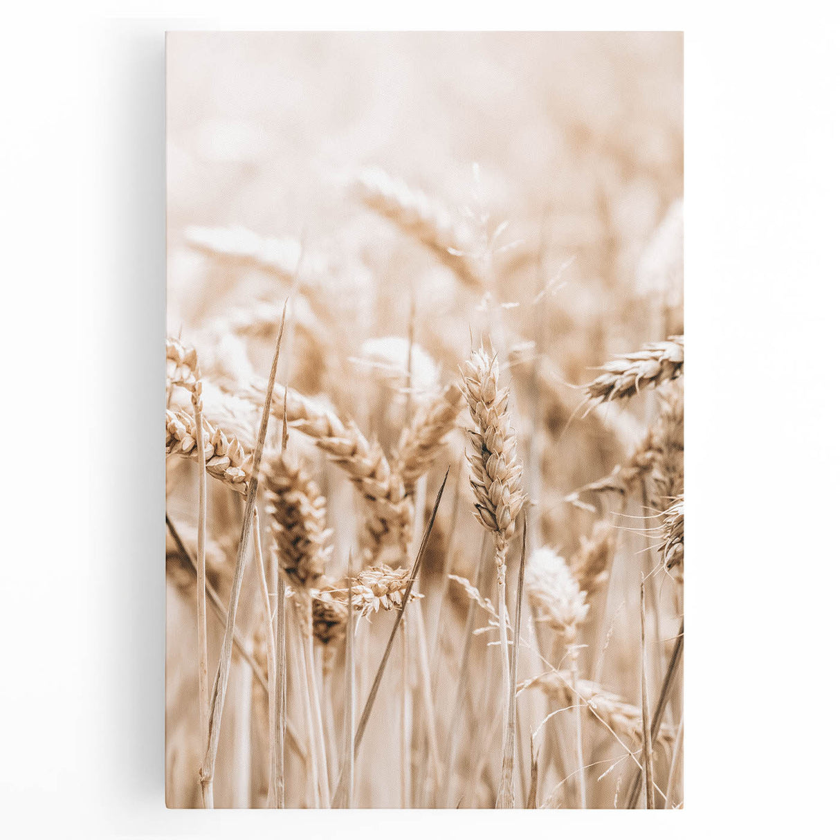 Farmhouse Wall Art - Wheat Harvest Design for Rustic Country Decor