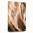 Farmhouse Wall Art - Close-Up Wheat Design for Rustic Country Decor