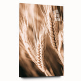 Farmhouse Wall Art - Close-Up Wheat Design for Rustic Country Decor