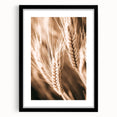 Farmhouse Wall Art - Close-Up Wheat Design for Rustic Country Decor