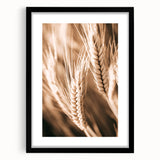 Farmhouse Wall Art - Close-Up Wheat Design for Rustic Country Decor
