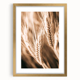 Farmhouse Wall Art - Close-Up Wheat Design for Rustic Country Decor