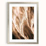 Farmhouse Wall Art - Close-Up Wheat Design for Rustic Country Decor