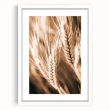 Farmhouse Wall Art - Close-Up Wheat Design for Rustic Country Decor