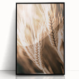 Farmhouse Wall Art - Close-Up Wheat Design for Rustic Country Decor