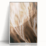 Farmhouse Wall Art - Close-Up Wheat Design for Rustic Country Decor