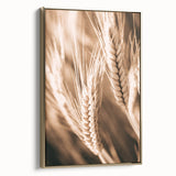Farmhouse Wall Art - Close-Up Wheat Design for Rustic Country Decor