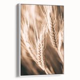 Farmhouse Wall Art - Close-Up Wheat Design for Rustic Country Decor