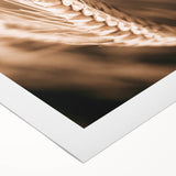 Farmhouse Wall Art - Close-Up Wheat Design for Rustic Country Decor