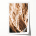 Farmhouse Wall Art - Close-Up Wheat Design for Rustic Country Decor