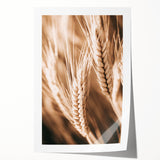 Farmhouse Wall Art - Close-Up Wheat Design for Rustic Country Decor