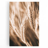Farmhouse Wall Art - Close-Up Wheat Design for Rustic Country Decor