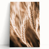 Farmhouse Wall Art - Close-Up Wheat Design for Rustic Country Decor
