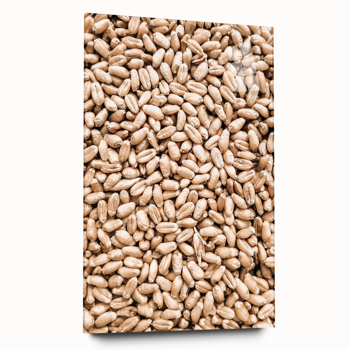 Farmhouse Wall Art - Wheat Grain Texture for Rustic Country Decor