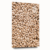 Farmhouse Wall Art - Wheat Grain Texture for Rustic Country Decor