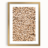Farmhouse Wall Art - Wheat Grain Texture for Rustic Country Decor