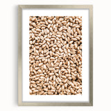 Farmhouse Wall Art - Wheat Grain Texture for Rustic Country Decor