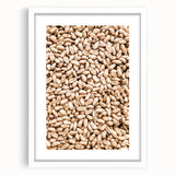 Farmhouse Wall Art - Wheat Grain Texture for Rustic Country Decor