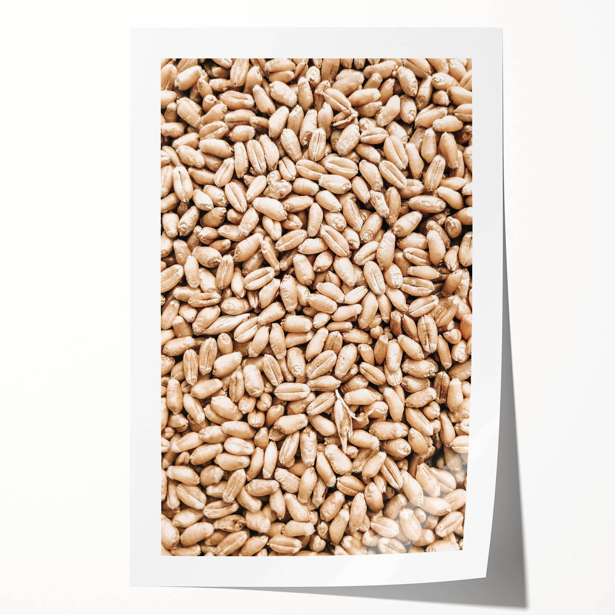 Farmhouse Wall Art - Wheat Grain Texture for Rustic Country Decor