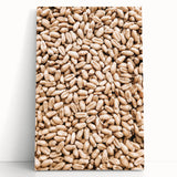 Farmhouse Wall Art - Wheat Grain Texture for Rustic Country Decor