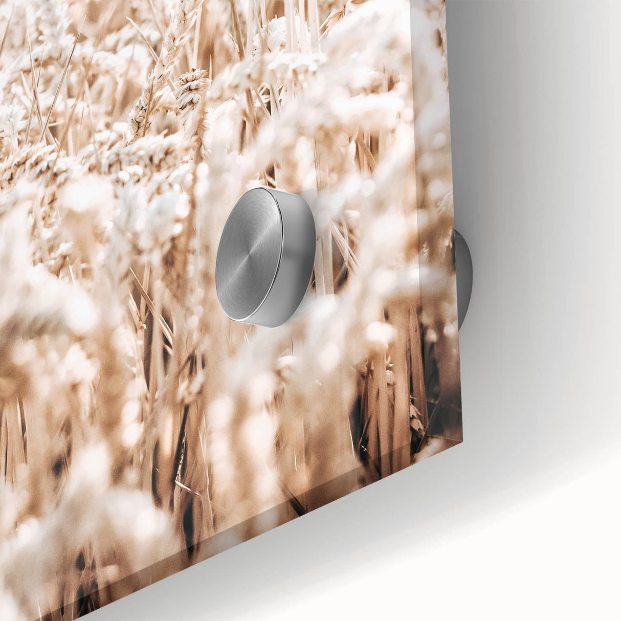 Farmhouse Wall Art - Wheat Field Design for Rustic Country Style Decor