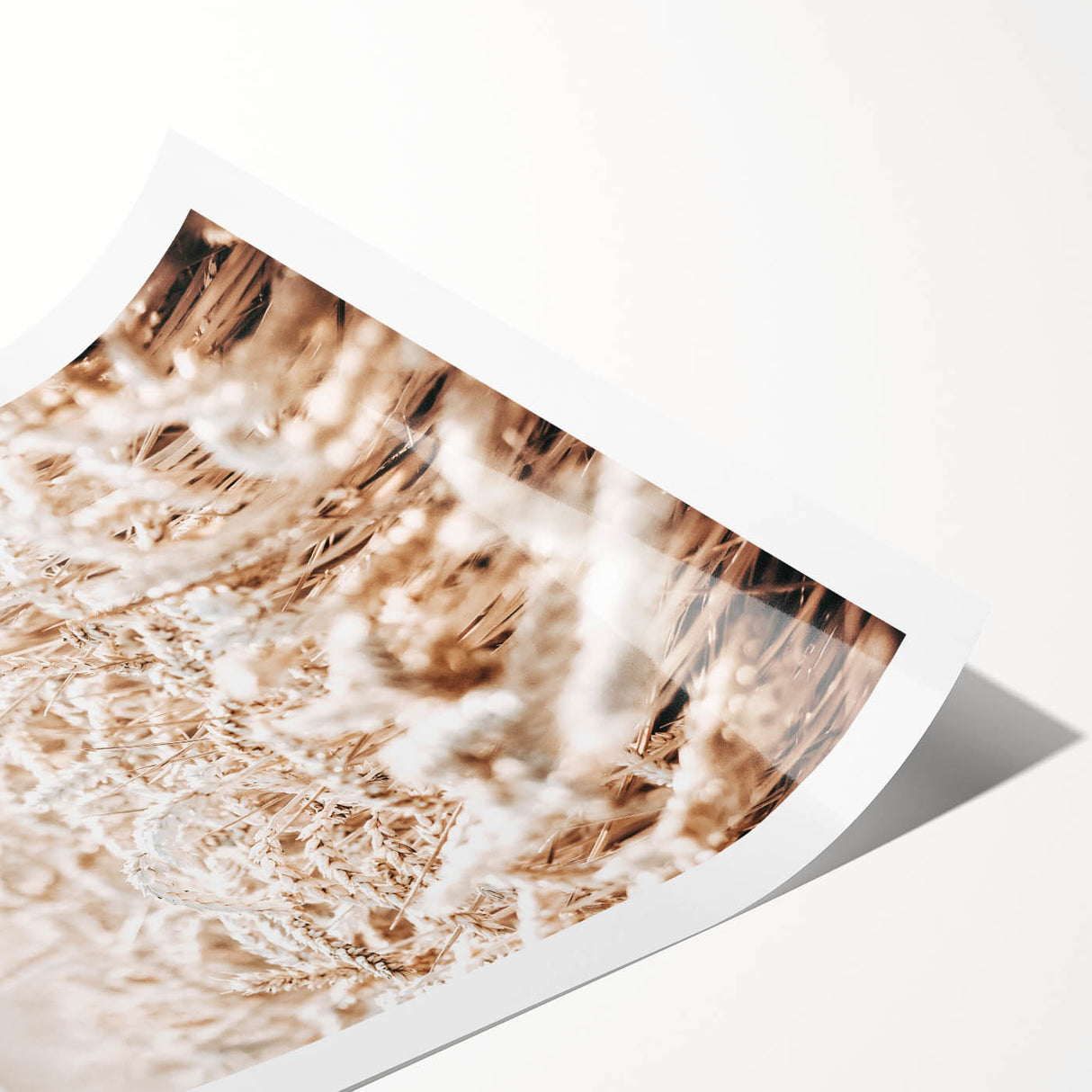 Farmhouse Wall Art - Wheat Field Design for Rustic Country Style Decor