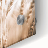 Farmhouse Wall Art - Wheat Stalks for Rustic Country Style Decor