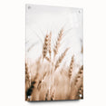 Farmhouse Wall Art - Wheat Stalks for Rustic Country Style Decor
