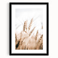 Farmhouse Wall Art - Wheat Stalks for Rustic Country Style Decor
