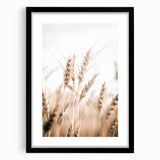 Farmhouse Wall Art - Wheat Stalks for Rustic Country Style Decor