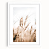 Farmhouse Wall Art - Wheat Stalks for Rustic Country Style Decor
