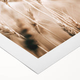 Farmhouse Wall Art - Wheat Stalks for Rustic Country Style Decor