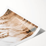 Farmhouse Wall Art - Wheat Stalks for Rustic Country Style Decor