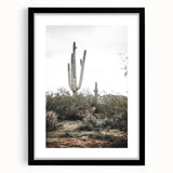 Farmhouse Wall Art - Desert Cactus Scene for Rustic Country Decor
