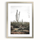 Farmhouse Wall Art - Desert Cactus Scene for Rustic Country Decor