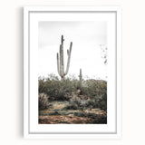 Farmhouse Wall Art - Desert Cactus Scene for Rustic Country Decor