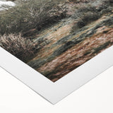 Farmhouse Wall Art - Desert Cactus Scene for Rustic Country Decor