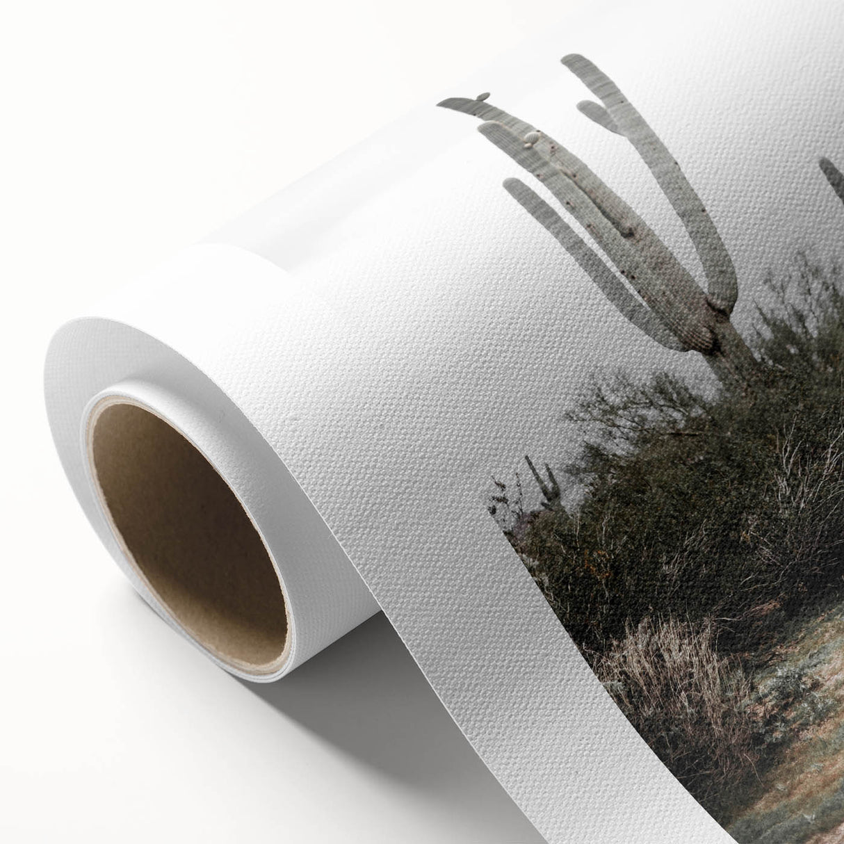 Farmhouse Wall Art - Desert Cactus Scene for Rustic Country Decor