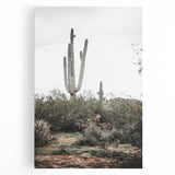 Farmhouse Wall Art - Desert Cactus Scene for Rustic Country Decor