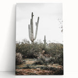 Farmhouse Wall Art - Desert Cactus Scene for Rustic Country Decor