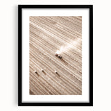 Farmhouse Wall Art - Aerial View of Harvested Field for Rustic Decor