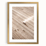 Farmhouse Wall Art - Aerial View of Harvested Field for Rustic Decor