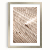Farmhouse Wall Art - Aerial View of Harvested Field for Rustic Decor