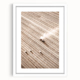 Farmhouse Wall Art - Aerial View of Harvested Field for Rustic Decor