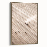Farmhouse Wall Art - Aerial View of Harvested Field for Rustic Decor