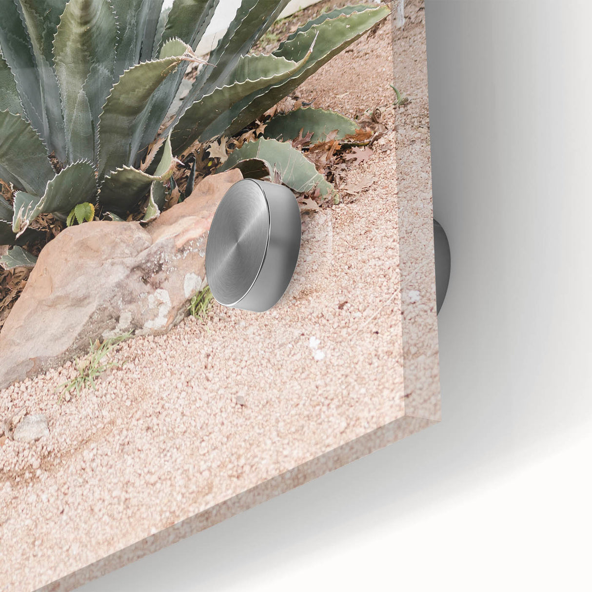 Farmhouse Wall Art - Desert Agave Plant for Rustic Country Decor