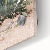 Farmhouse Wall Art - Desert Agave Plant for Rustic Country Decor