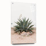 Farmhouse Wall Art - Desert Agave Plant for Rustic Country Decor