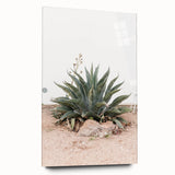 Farmhouse Wall Art - Desert Agave Plant for Rustic Country Decor